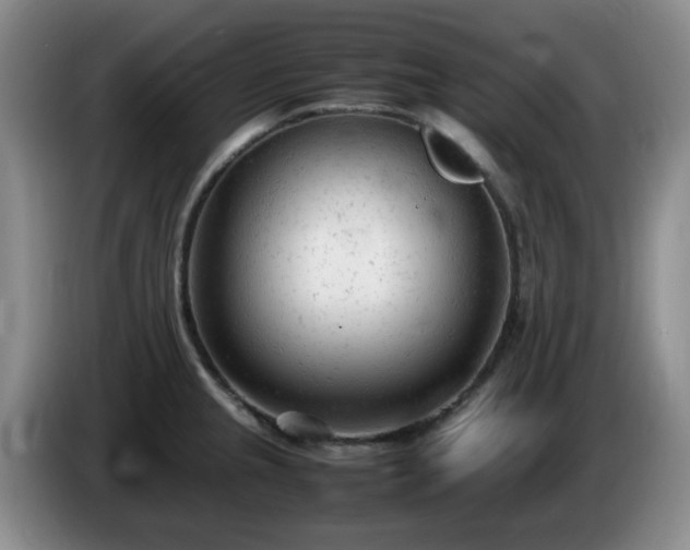 X0000085011237200703121515