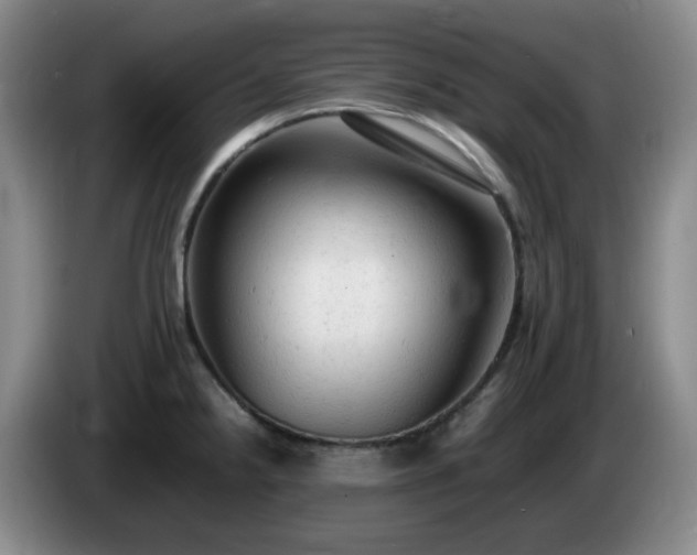X0000085011238200703121515