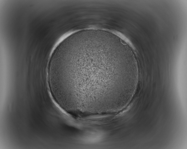 X0000085011239200703121515