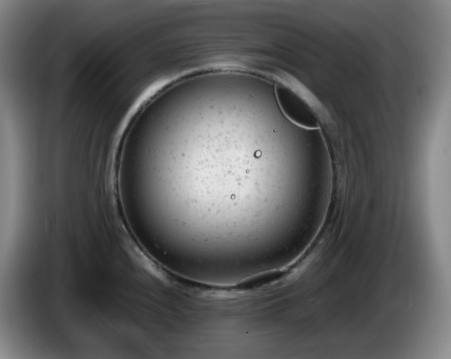 X0000085011240200703121515
