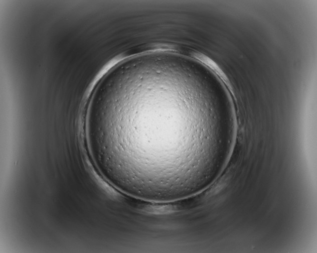 X0000085011243200703121515