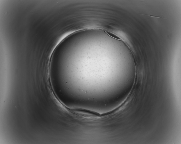 X0000085011244200703121515