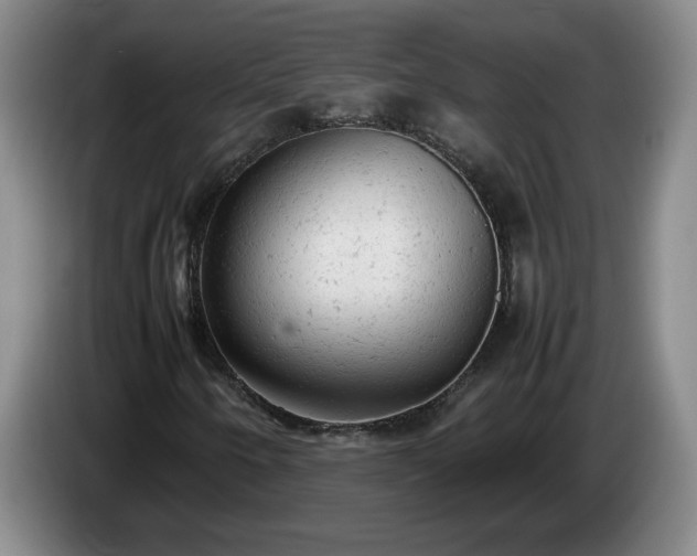 X0000085011250200703121514