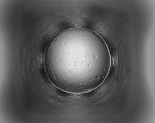X0000085011251200703121514