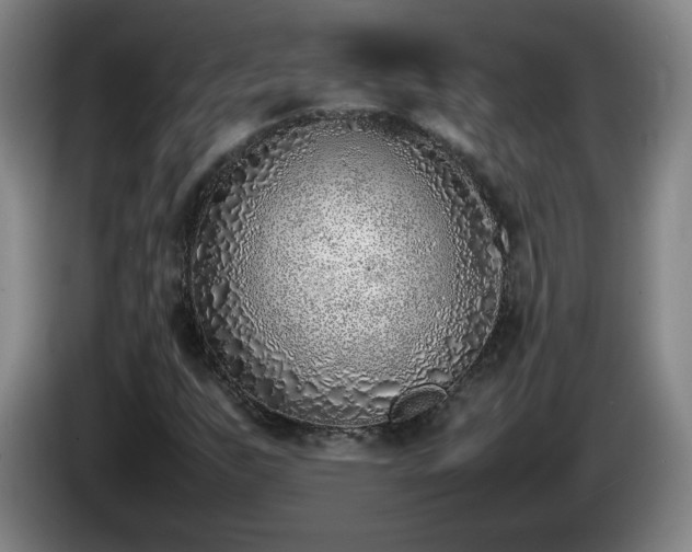 X0000085011255200703121514