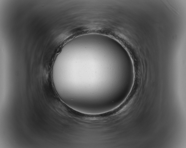 X0000085011257200703121514