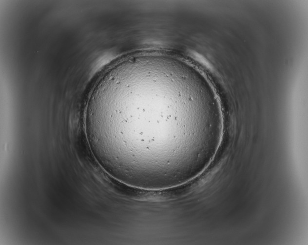 X0000085011259200703121514