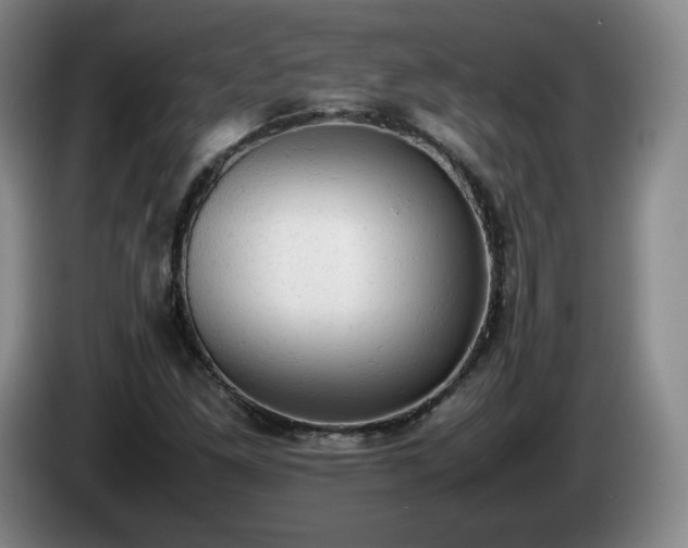 X0000085011261200703121514