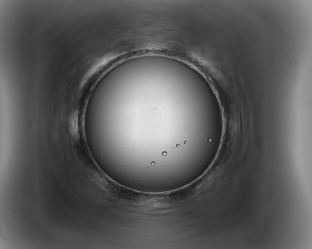 X0000085011262200703121514