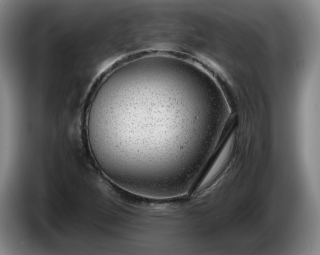 X0000085011264200703121514
