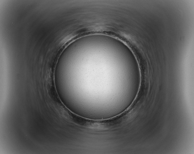 X0000085011265200703121514
