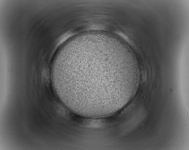 X0000085011266200703121514