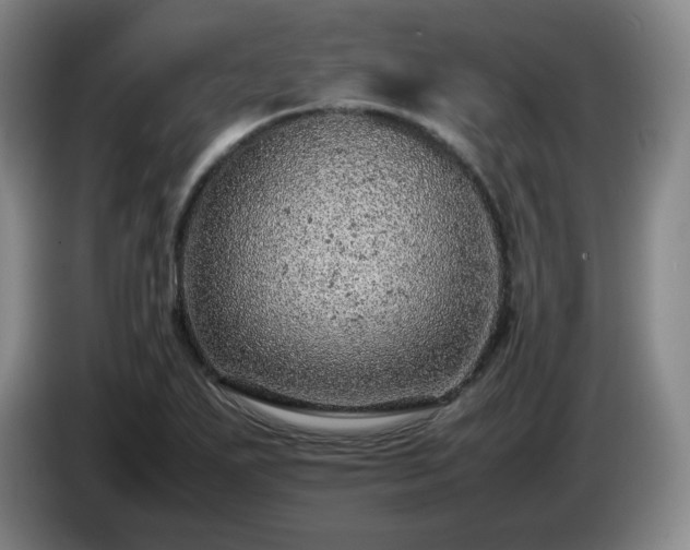 X0000085011271200703121514
