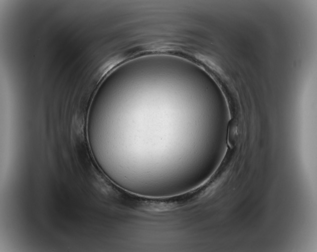 X0000085011273200703121514