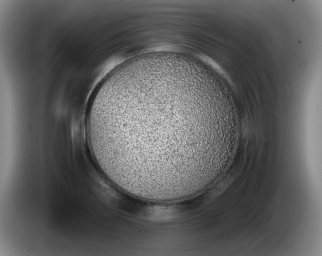 X0000085011274200703121514