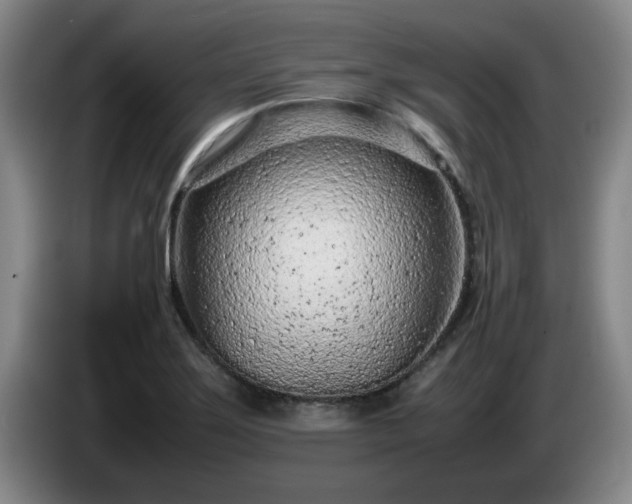 X0000085011275200703121514