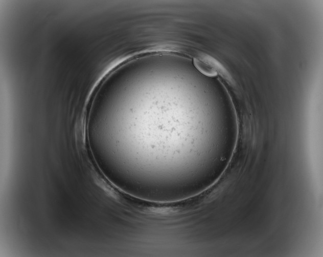 X0000085011276200703121514
