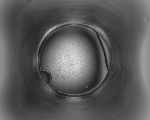 X0000085011280200703121514