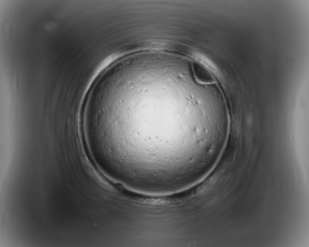 X0000085011283200703121514