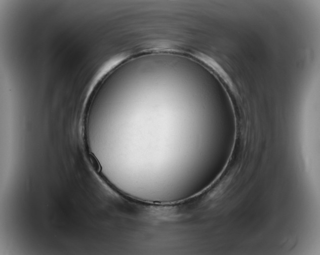 X0000085011285200703121514