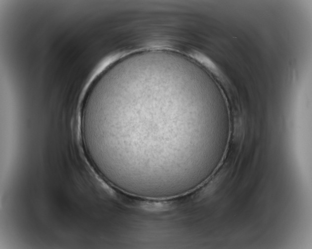 X0000085011286200703121514