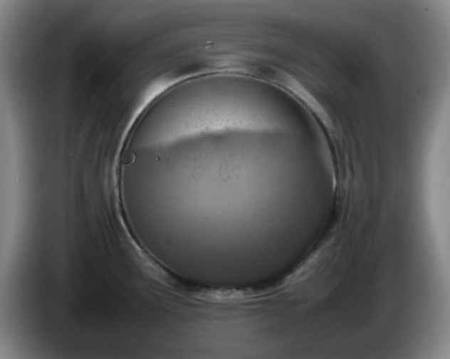 X0000085011291200703121514