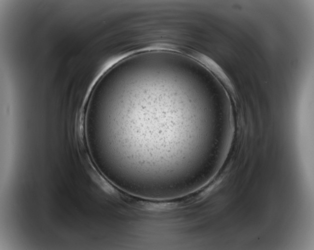 X0000085011292200703121514