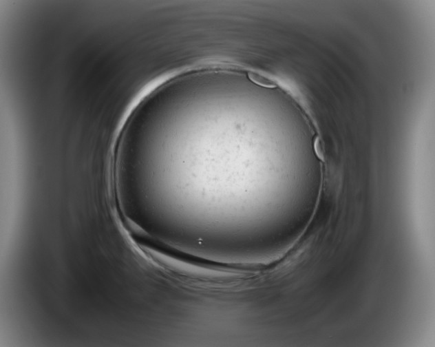 X0000085011295200703121513