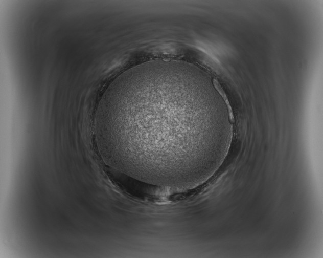 X0000085011297200703121513