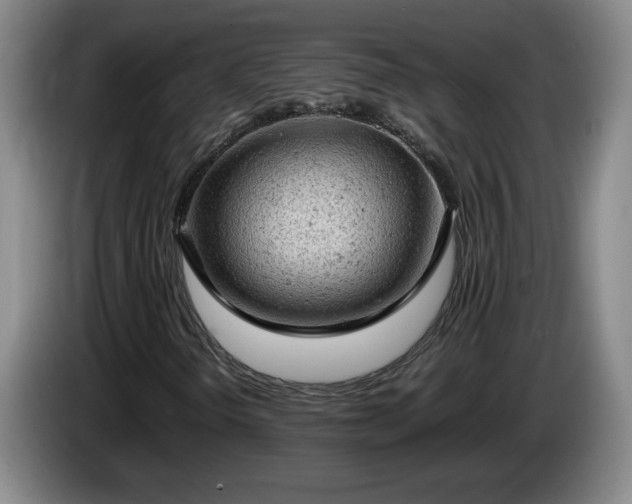 X0000085011298200703121513