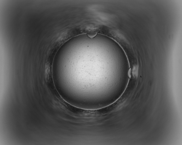 X0000085011299200703121513