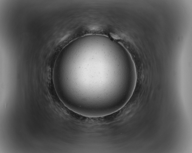 X0000085011301200703121513
