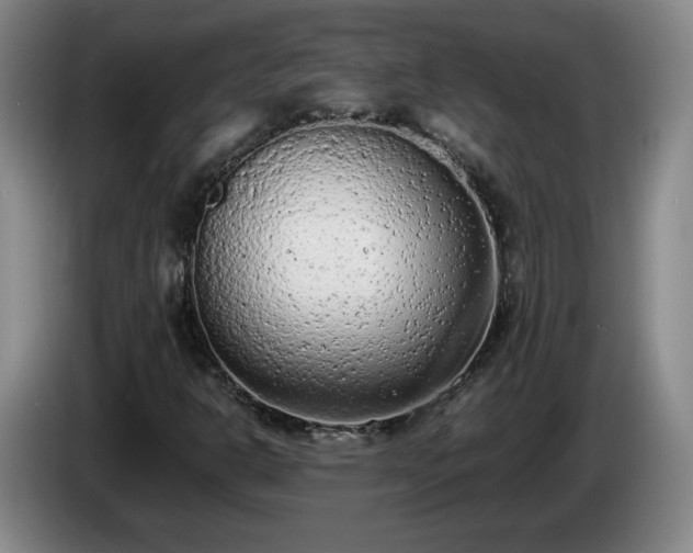X0000085011302200703121513