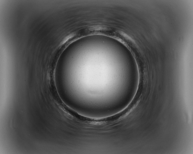 X0000085011305200703121513
