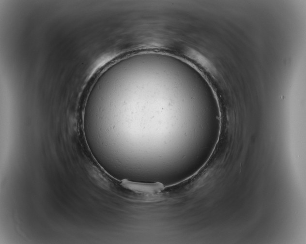 X0000085011308200703121513