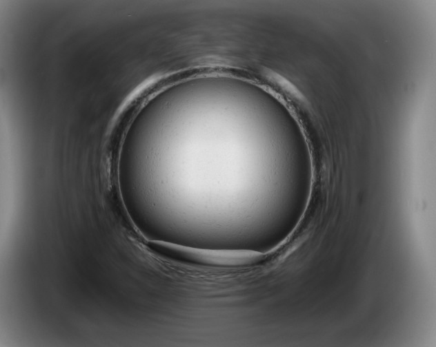 X0000085011310200703121513