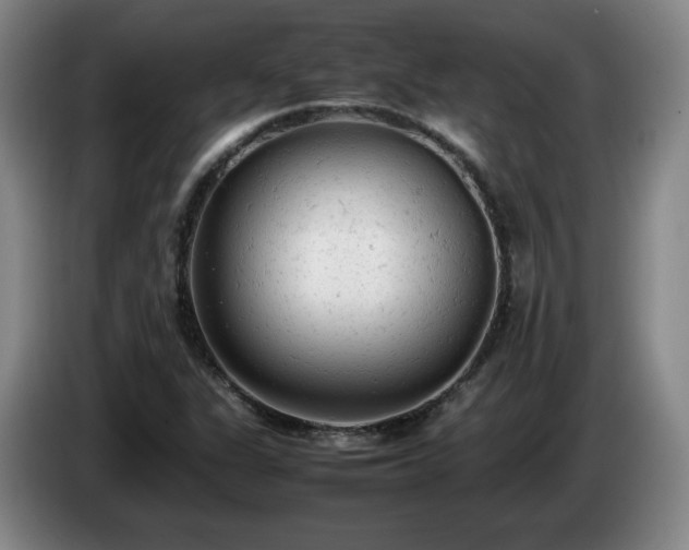 X0000085011311200703121513
