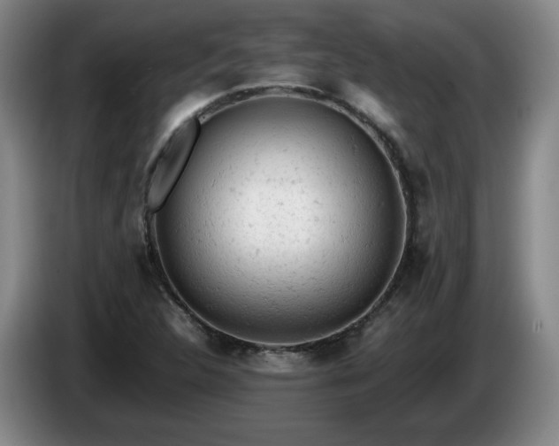 X0000085011312200703121513