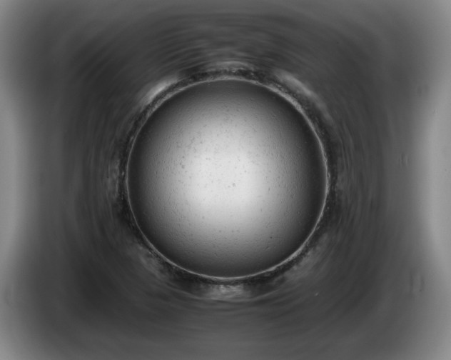 X0000085011313200703121513