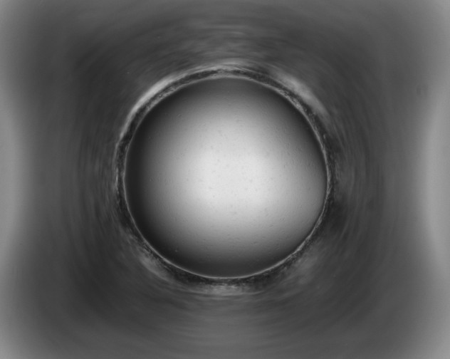 X0000085011316200703121513
