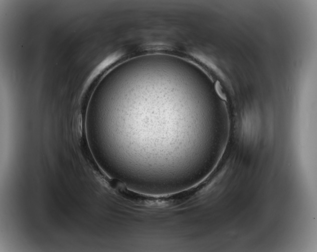 X0000085011317200703121513