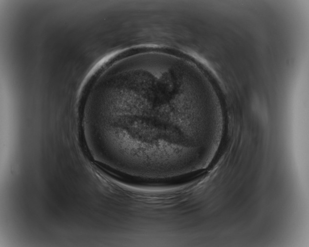 X0000085011319200703121513
