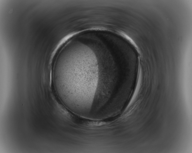 X0000085011323200703121513