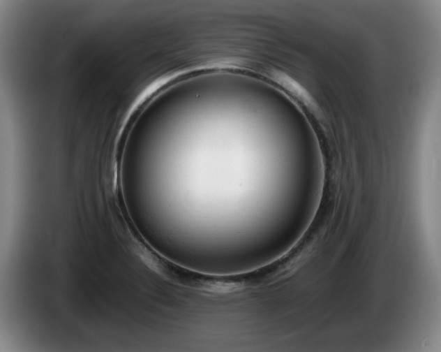 X0000085011324200703121513