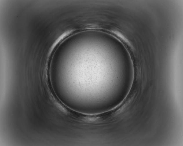 X0000085011325200703121513