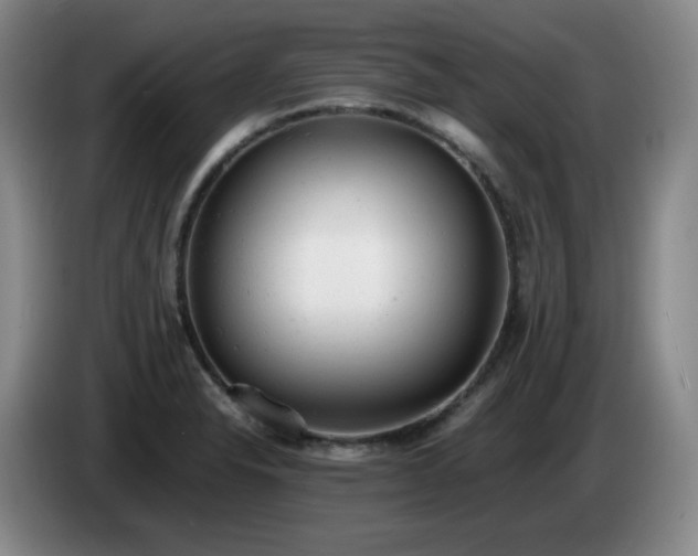 X0000085011326200703121513