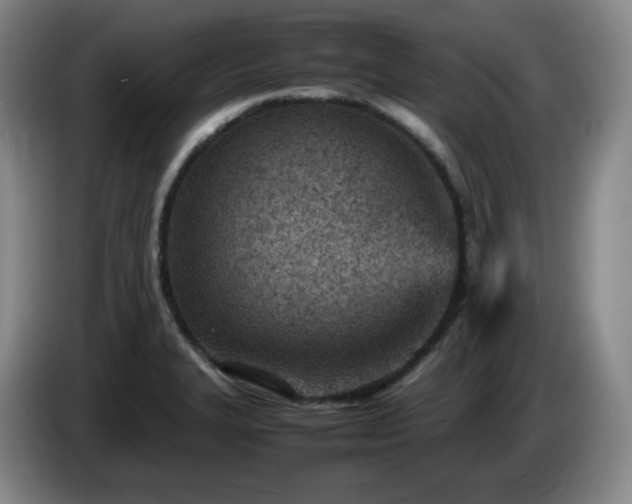 X0000085011327200703121513