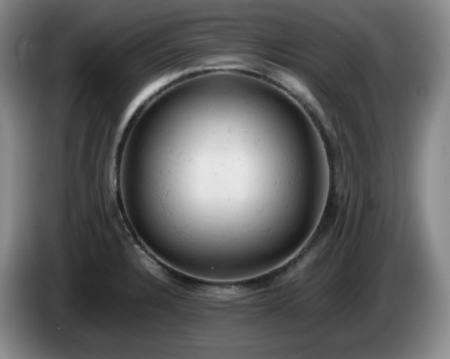 X0000085011328200703121513