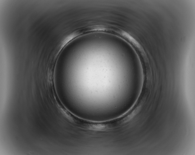 X0000085011329200703121513