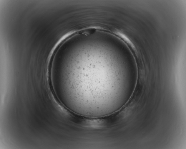 X0000085011331200703121513